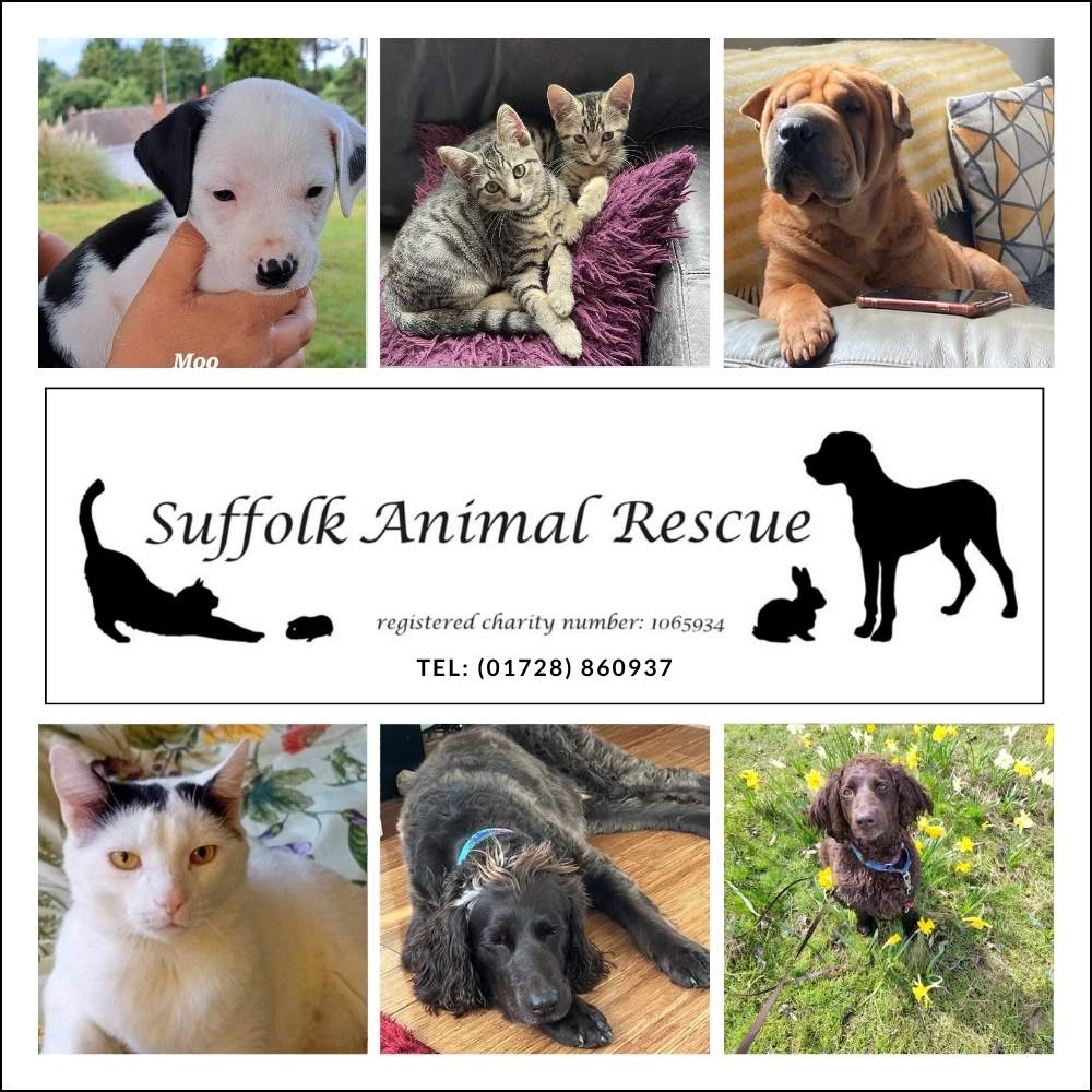 Suffolk-animal-rescue